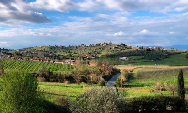appartamento in vendita a Carmignano