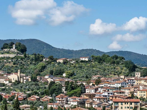 terreno agricolo in vendita a Carmignano