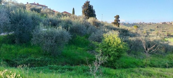 terreno agricolo in vendita a Carmignano