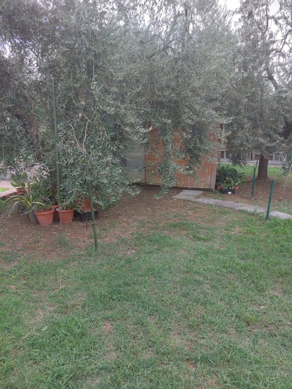 casa indipendente in vendita a Carmignano