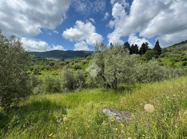 terreno agricolo in vendita a Carmignano