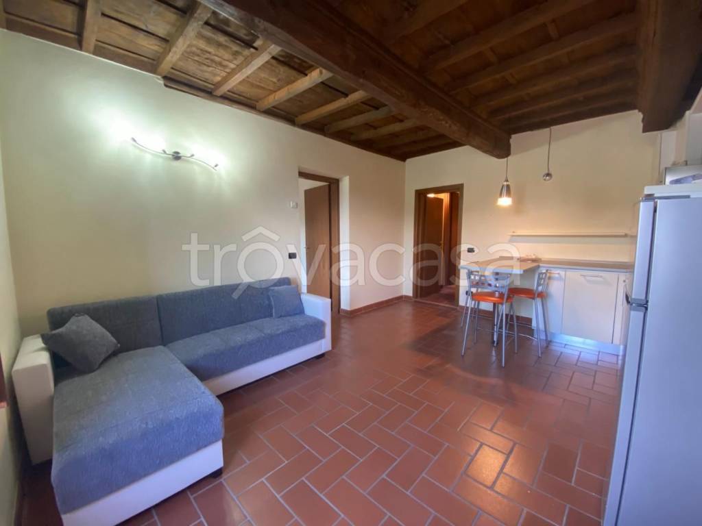 appartamento in vendita a Carmignano