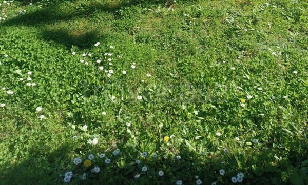 casa indipendente in vendita a Carmignano