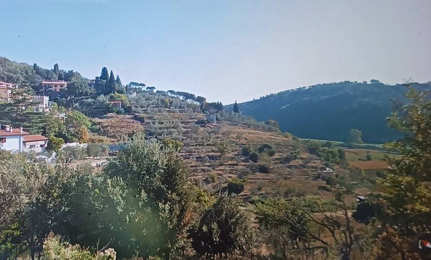 appartamento in vendita a Carmignano