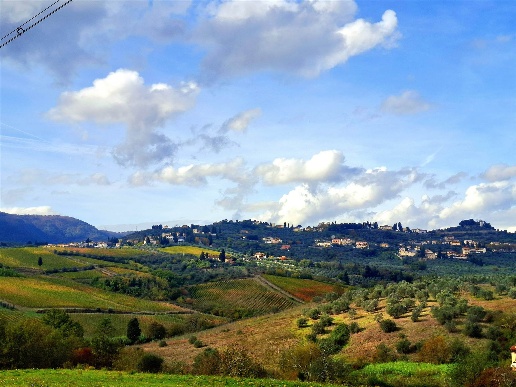 immagine annuncio 0 di 15