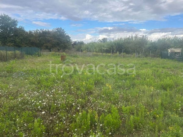 terreno agricolo in vendita a Carmignano