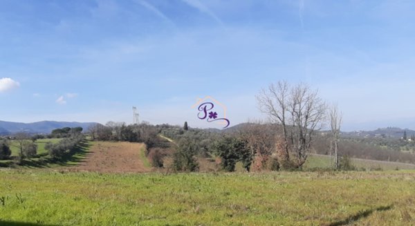 casale in vendita a Carmignano