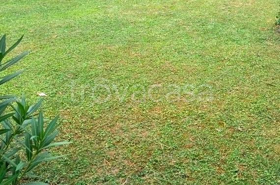 casa indipendente in vendita a Carmignano