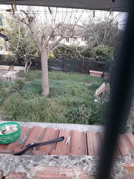 casa indipendente in vendita a Carmignano