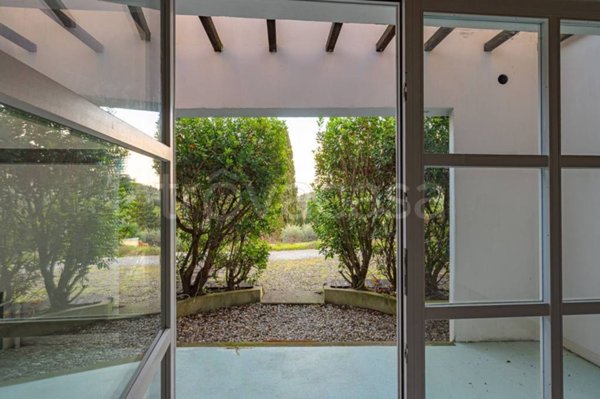 casa indipendente in vendita a Carmignano