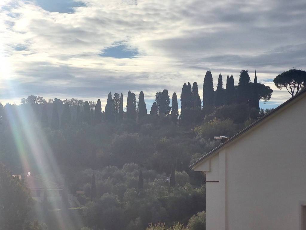 appartamento in vendita a Carmignano