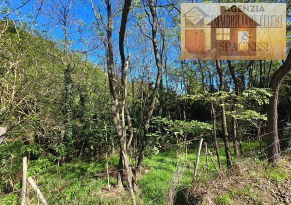 terreno agricolo in vendita a Carmignano