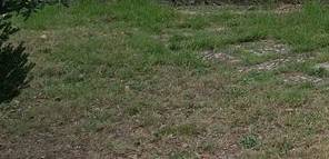 casa indipendente in vendita a Carmignano