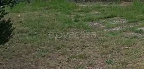 casa indipendente in vendita a Carmignano