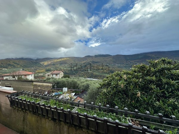 casa indipendente in vendita a Carmignano