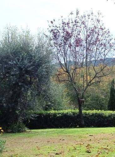 appartamento in vendita a Carmignano