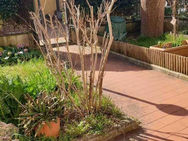 casa indipendente in vendita a Carmignano