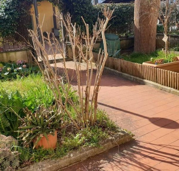 casa indipendente in vendita a Carmignano