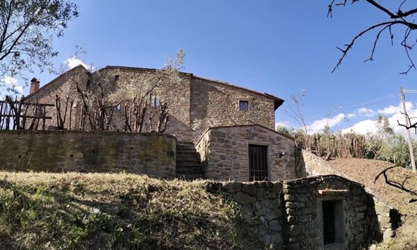 casa indipendente in vendita a Carmignano