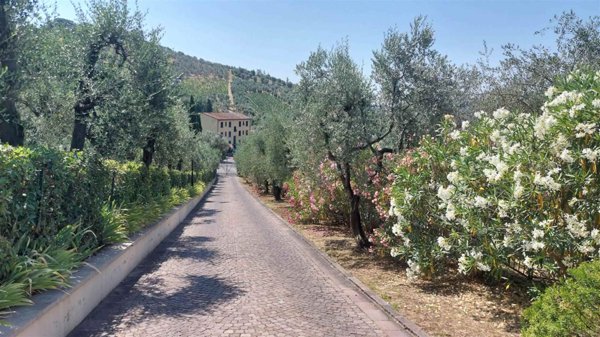 appartamento in vendita a Carmignano