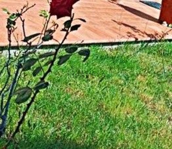 appartamento in vendita a Carmignano