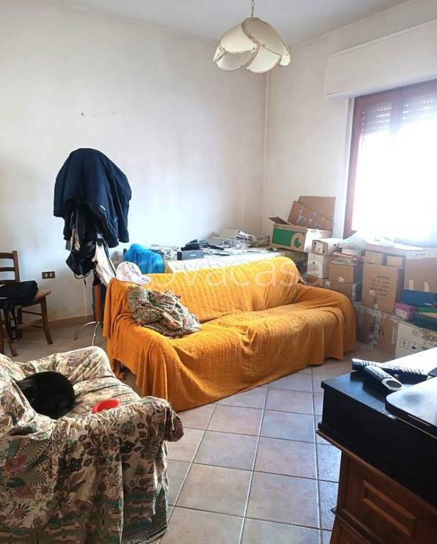 immagine annuncio 0 di 11