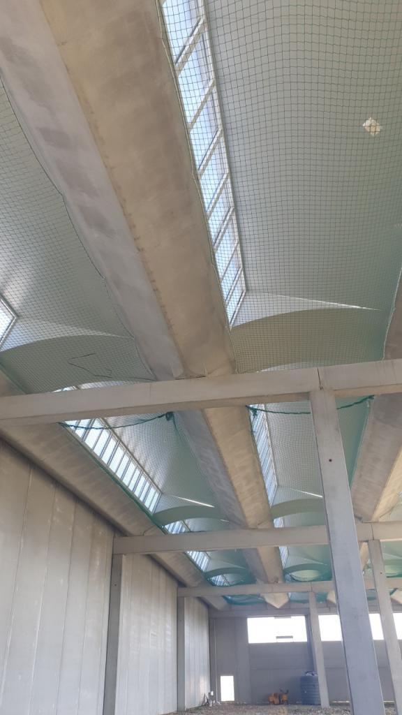 casa indipendente in affitto a Montemurlo