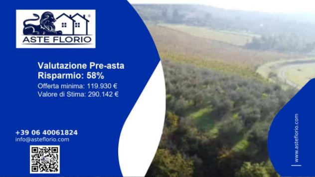 terreno agricolo in vendita a Montemurlo