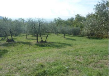 terreno agricolo in vendita a Montemurlo