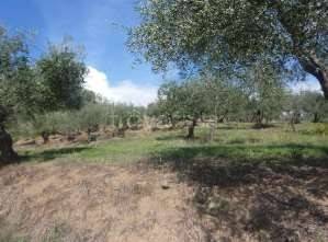 appartamento in vendita a Montemurlo
