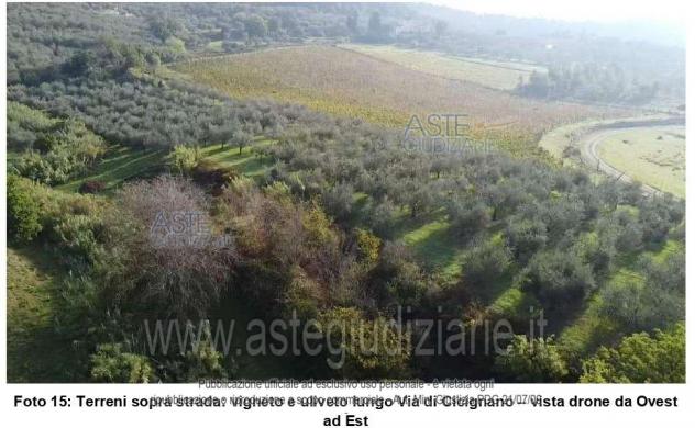 terreno agricolo in vendita a Montemurlo