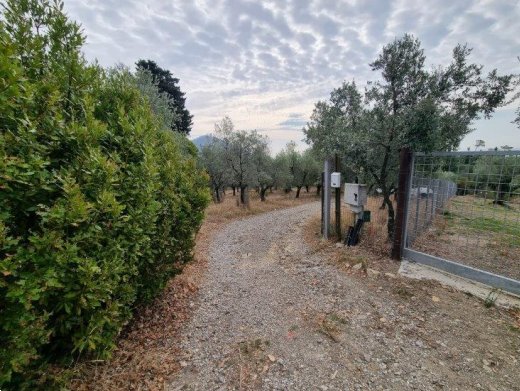 terreno agricolo in vendita a Montemurlo
