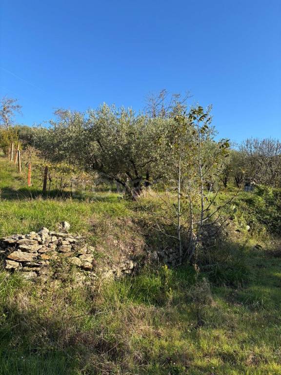 terreno agricolo in vendita a Montemurlo in zona Bagnolo