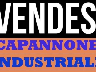 capannone in vendita a Montemurlo in zona Fornacelle