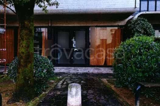 immagine annuncio 0 di 1