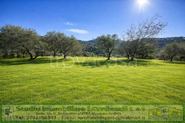 terreno agricolo in vendita a Montemurlo in zona Bagnolo