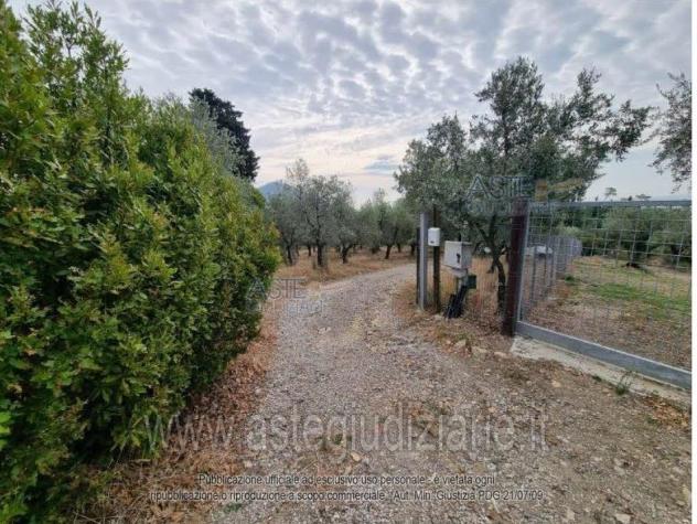 terreno agricolo in vendita a Montemurlo