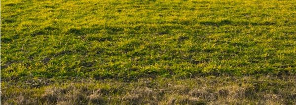 casa indipendente in vendita a Montemurlo