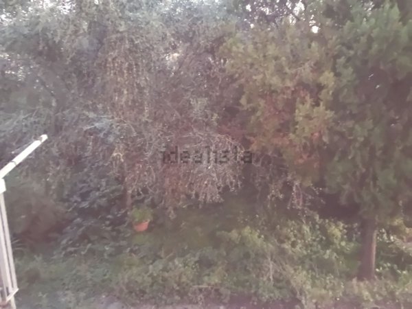 casa indipendente in vendita a Poggio a Caiano