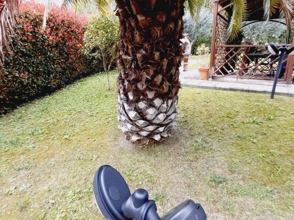 casa indipendente in vendita a Poggio a Caiano