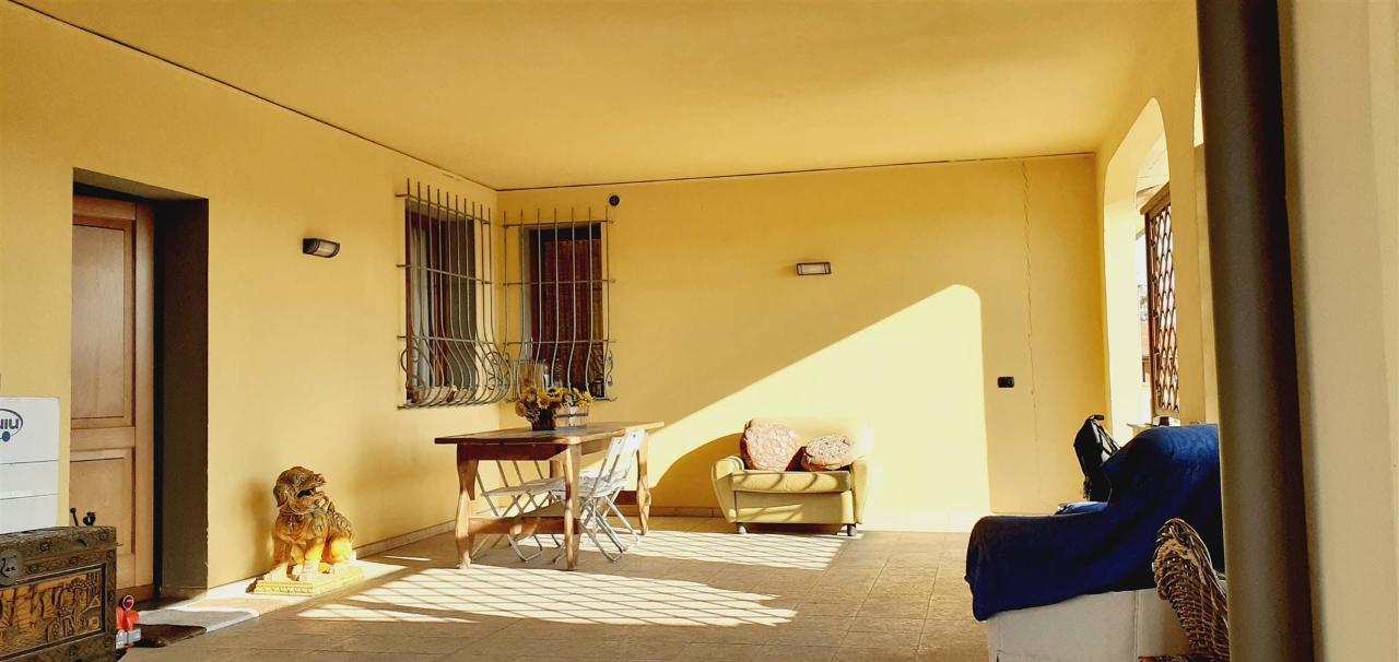 immagine annuncio 0 di 15