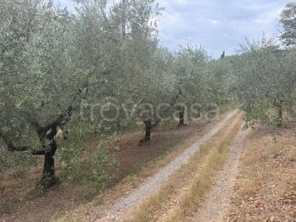 terreno agricolo in vendita a Poggio a Caiano