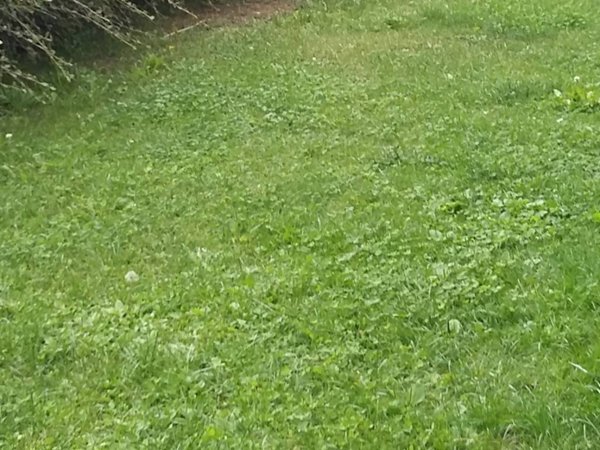casa indipendente in vendita a Poggio a Caiano