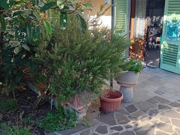 appartamento in vendita a Poggio a Caiano