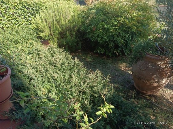 casa indipendente in vendita a Poggio a Caiano in zona Poggetto