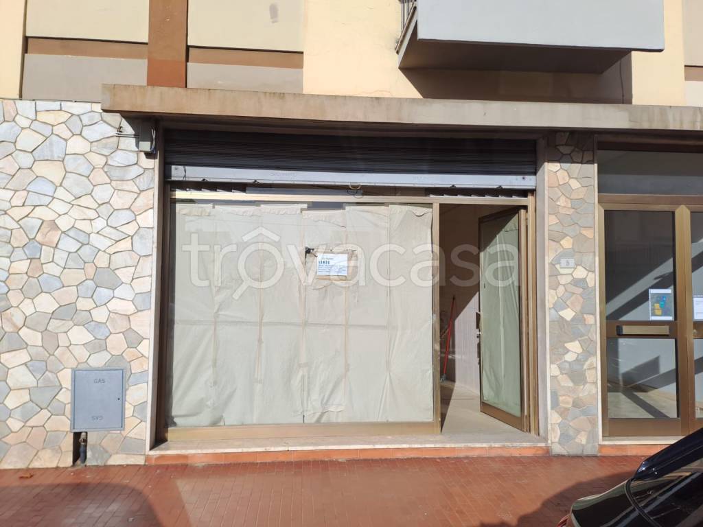 negozio in vendita a Poggio a Caiano