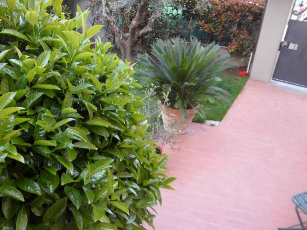 casa indipendente in vendita a Poggio a Caiano