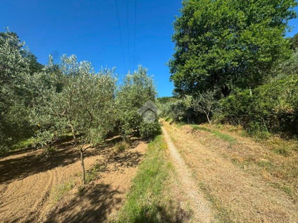terreno agricolo in vendita a Poggio a Caiano