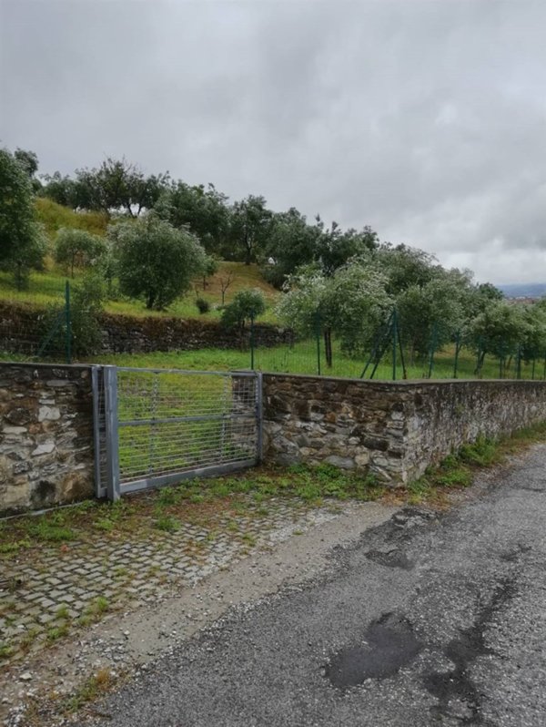 terreno agricolo in vendita a Prato
