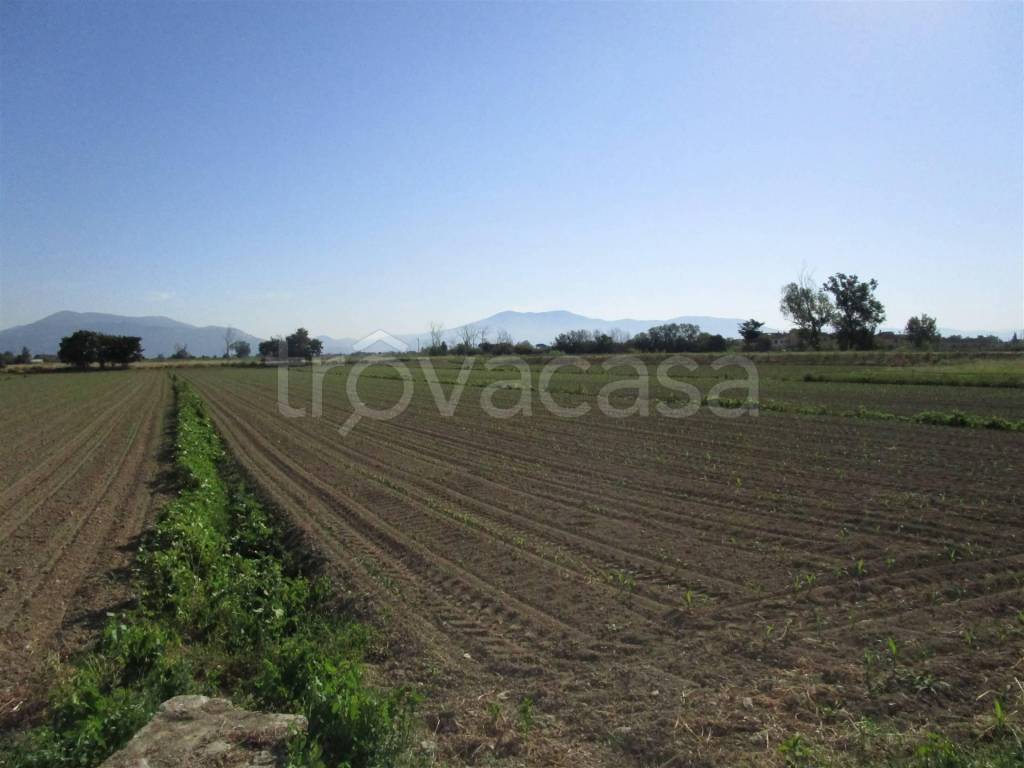terreno agricolo in vendita a Prato in zona Grignano